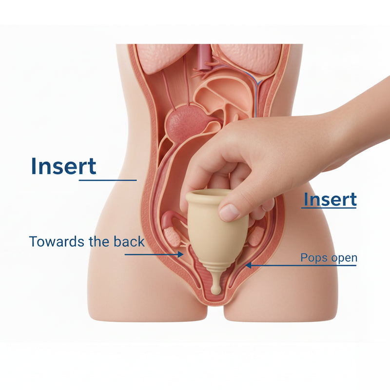 Insert menstrual cup